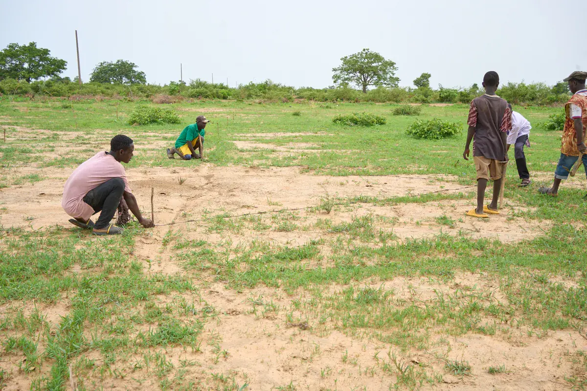 Farmers working on an open field with scattered trees